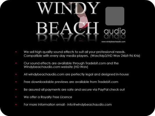 Product picture Bats swarming 1C